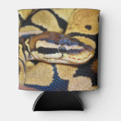 Coiled Ball Python Face Closeup Blikjeskoeler (Voorkant)