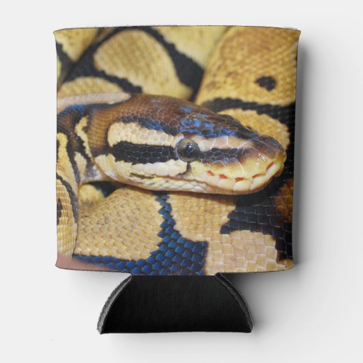 Coiled Ball Python Face Closeup Blikjeskoeler (Voorkant)