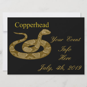 Coiled Copperhead Snake Thunder_Cove