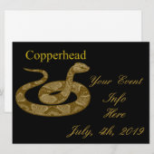Coiled Copperhead Snake Thunder_Cove (Voorkant / Achterkant)
