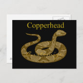 Coiled Copperhead Snake Thunder_Cove Briefkaart (Voorkant / Achterkant)