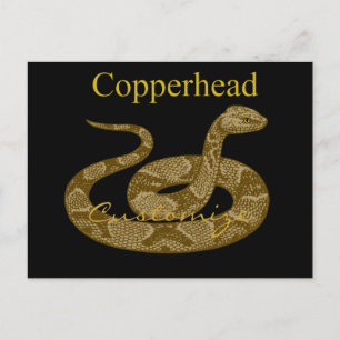 Coiled Copperhead Snake Thunder_Cove Briefkaart