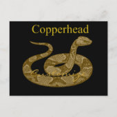 Coiled Copperhead Snake Thunder_Cove Briefkaart (Voorkant)