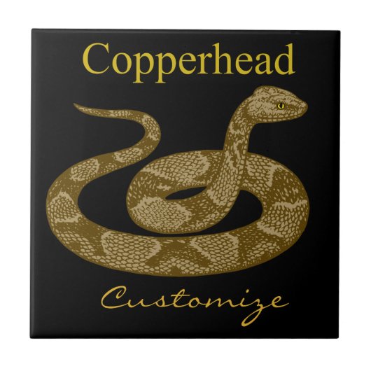 Coiled Copperhead Snake Thunder_Cove Tegeltje (Voorkant)