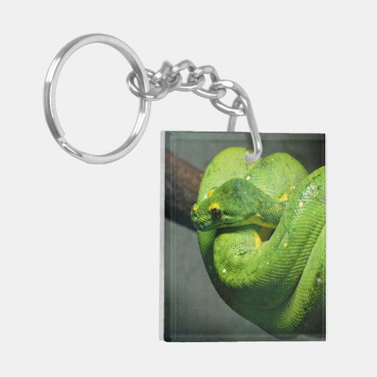 Coiled Green Tree Snake Sleutelhanger (Voorkant Links)