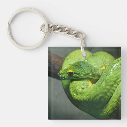Coiled Green Tree Snake Sleutelhanger (Voorkant)