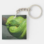 Coiled Green Tree Snake Sleutelhanger (Achterkant)