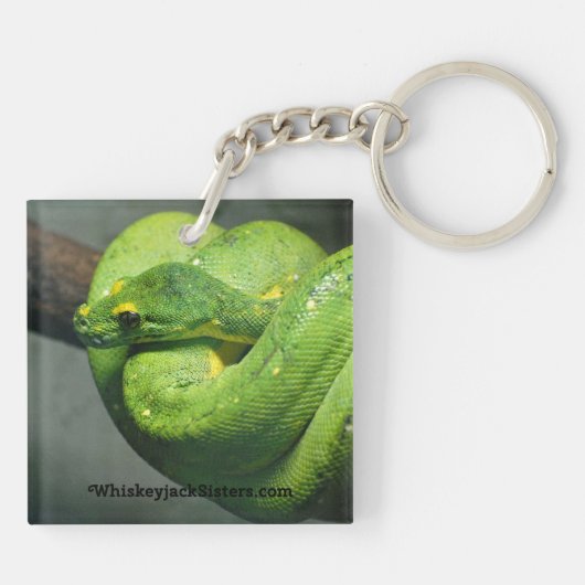 Coiled Green Tree Snake Sleutelhanger (Achterkant)
