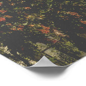 Coit Tower Poster (Hoek)