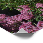 Coit Tower San Francisco Poster (Hoek)