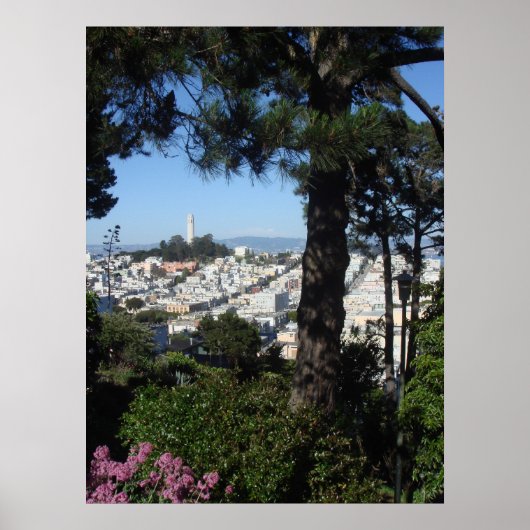 Coit Tower San Francisco Poster (Voorkant)