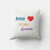 Cojín de decoración kussen (Achterkant)