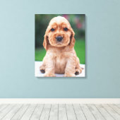 Coker Spaniel Puppy Canvas Afdruk (Insitu (Houten vloer))