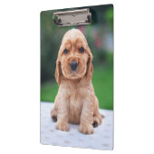 Coker Spaniel Puppy Klembord (Links)
