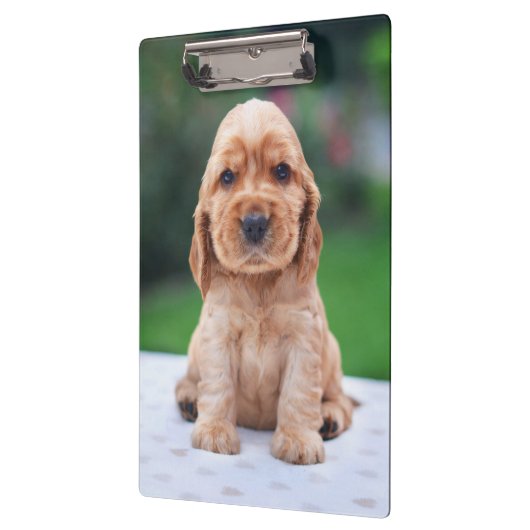 Coker Spaniel Puppy Klembord (Links)