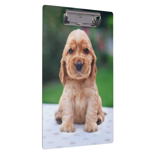 Coker Spaniel Puppy Klembord (Rechts)