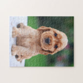 Coker Spaniel Puppy Legpuzzel (Horizontaal)