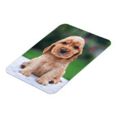 Coker Spaniel Puppy Magneet (Linkerzijde)