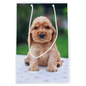 Coker Spaniel Puppy Medium Cadeauzakje (Voorkant)