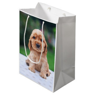 Coker Spaniel Puppy Medium Cadeauzakje
