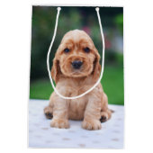 Coker Spaniel Puppy Medium Cadeauzakje (Achterkant)