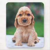 Coker Spaniel Puppy Muismat (Voorkant)