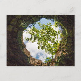 Coketown Coke Oven Ruins, West Virginia Briefkaart