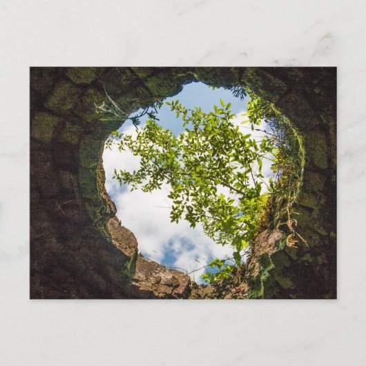 Coketown Coke Oven Ruins, West Virginia Briefkaart (Voorkant)