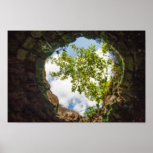 Coketown Coke Oven Ruins, West Virginia Poster (Voorkant)