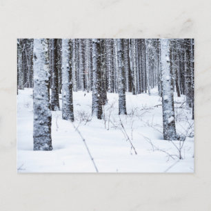 COL DU MOLLENDRUZ, MONT-LA-VILLE, ZWITSERLAND BRIEFKAART