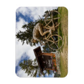 Col du Télégraphe, Valloire, Frankrijk Magneet (Verticaal)