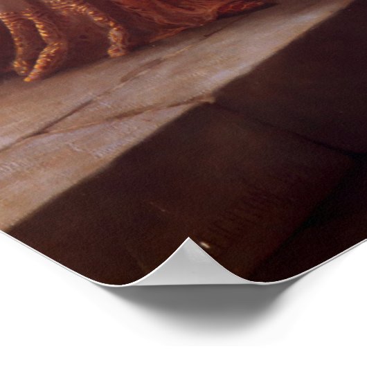 colade poster (Hoek)