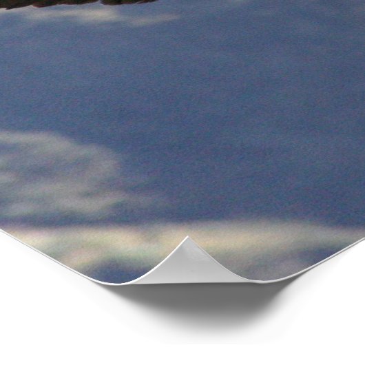 Colca Canyon Condor Poster (Hoek)