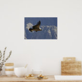 Colca Canyon Condor Poster (Keuken)