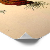 Colchicum Autumnale, bekend als Autumn Crocus Poster (Hoek)