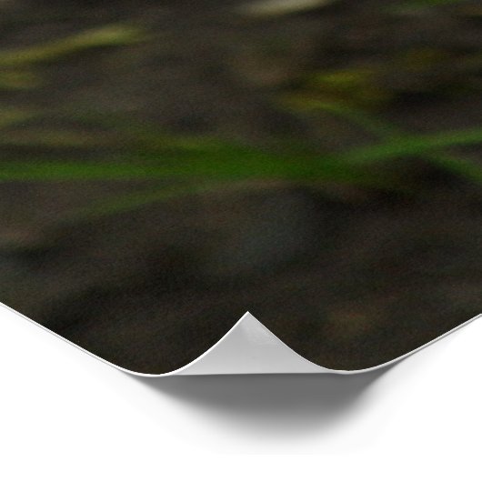 Colchicum herfst poster (Hoek)