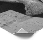 Cold Angel Poster (Hoek)