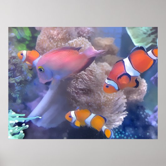 Cold Fish Aquarium Poster (Voorkant)