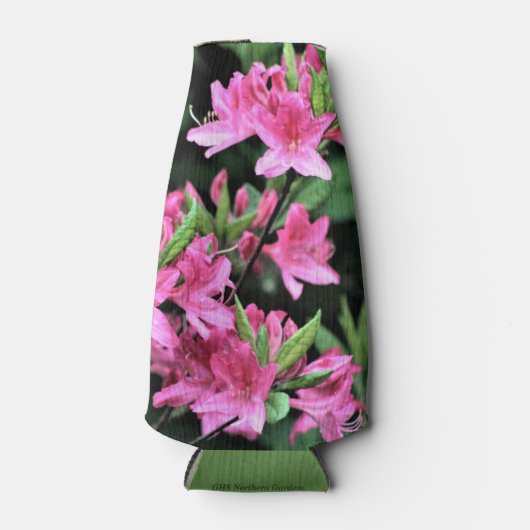 Cold Hardy Pink Azeleas Flesjeskoeler (Voorkant)