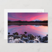 Cold Lake Sunset Briefkaart (Voorkant / Achterkant)