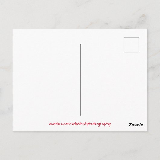 Cold Lake Sunset Briefkaart (Achterkant)