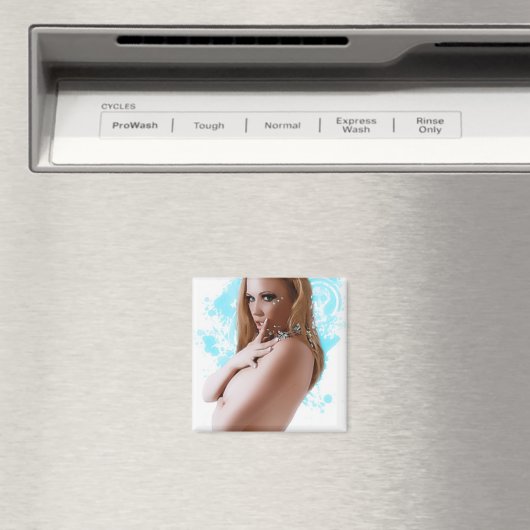 cold magnet (Insitu (Vaatwasser))