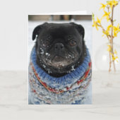 Cold Puggy in het Snow Birthday Wenskaart Kaart (Gele Bloem)