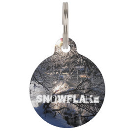 Cold River Hafren Huisdierpenning