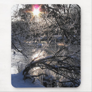 Cold River Hafren Muismat