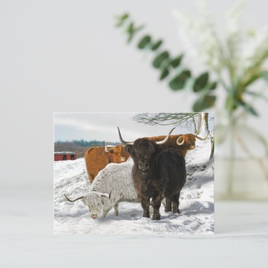 "Cold Snowy Morning" Briefkaart (Staand voorkant)