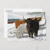 "Cold Snowy Morning" Briefkaart (Voorkant / Achterkant)