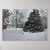 Cold Snowy Winter Day Poster (Voorkant)