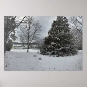 Cold Snowy Winter Day Poster