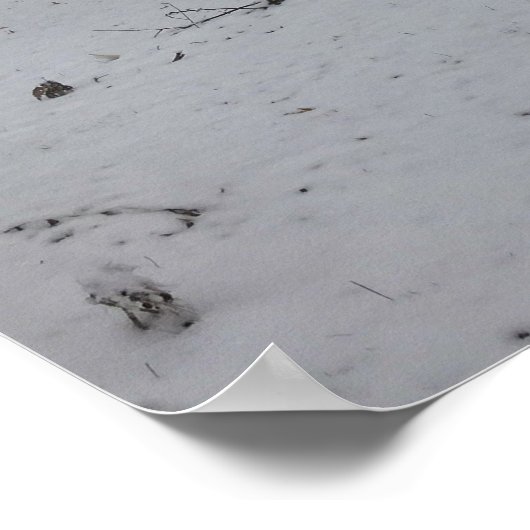 Cold Snowy Winter Day Poster (Hoek)